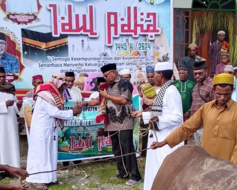 Sholad Ied idul Adha 1445 H , Bupati Sorong Selatan Serahkan 4 Ekor Sapi Bagi Umat Islam Kokoda