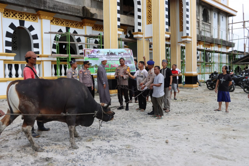 Polres Sorong Selatan Serahkan 2 Ekor Sapi Hari Raya Idul Adha 1445 H