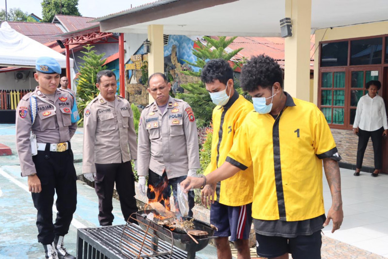 Polres Sorong Selatan Musnahkan Ganja 757,72 Gram